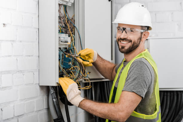 Best 24-Hour Electrician  in Viola, IL